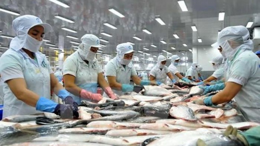 Tra fish enjoys impressive export growth